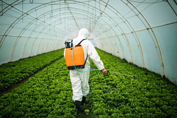 Best Emergency Pest Control  in Donna, TX