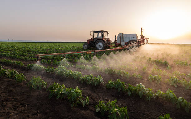 Best Best Pest Control Companies  in Donna, TX