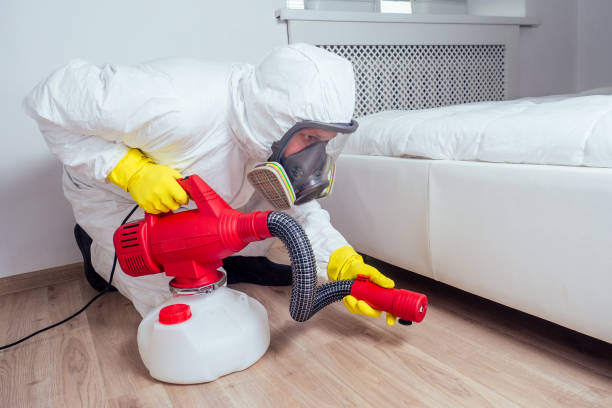 Best Best Pest Control Companies  in Donna, TX