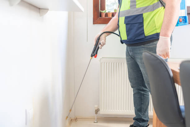 Flea Control Services in Donna, TX
