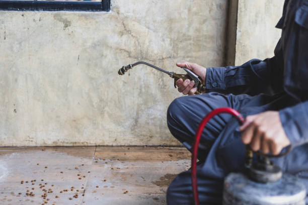 Best Pest Control for Businesses  in Donna, TX