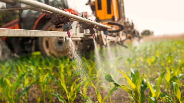 Best Commercial Pest Control Services  in Donna, TX